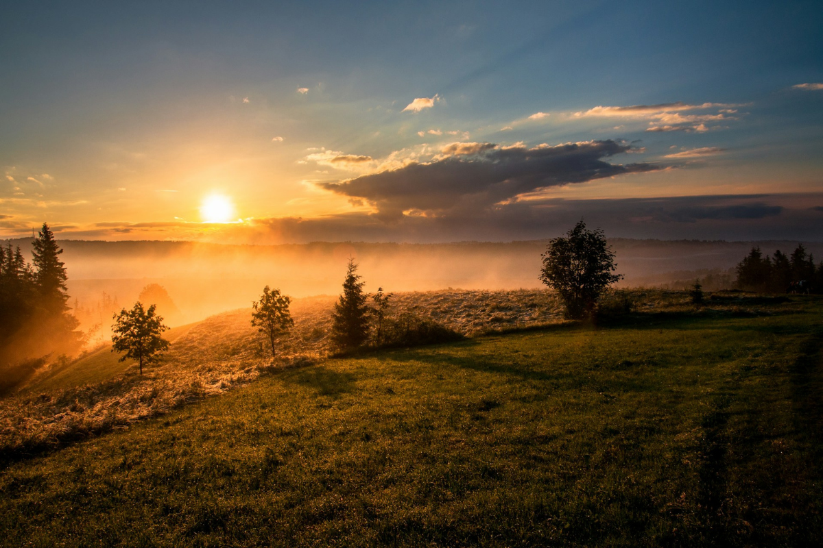 comment proteger la nature